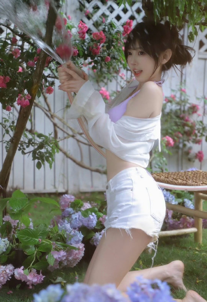 元素城 封面