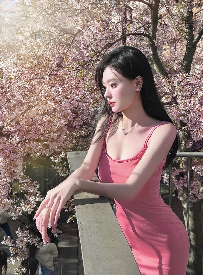 窈窕淑女 封面